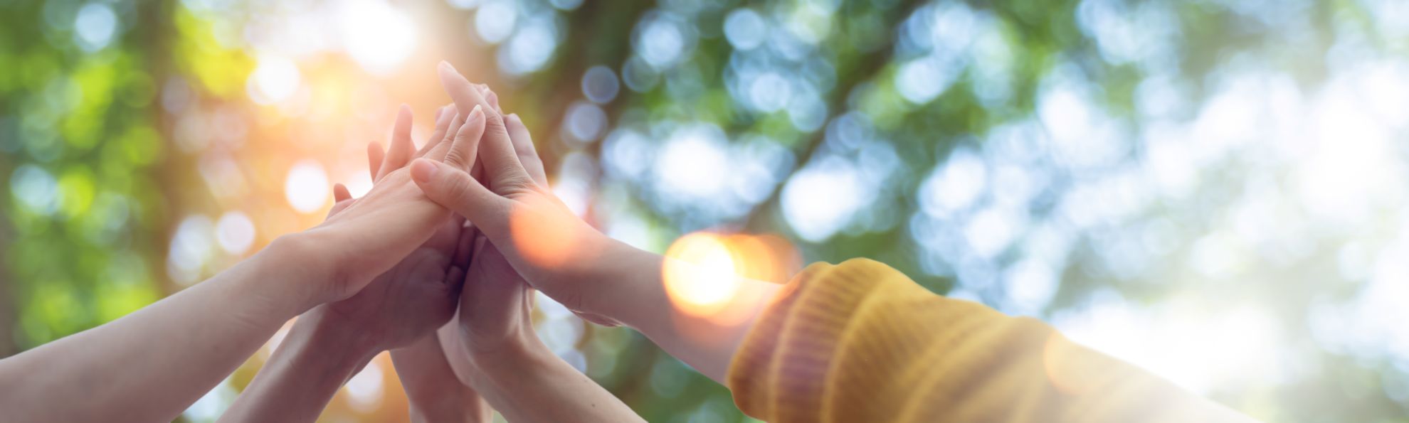 AdobeStock_734042381